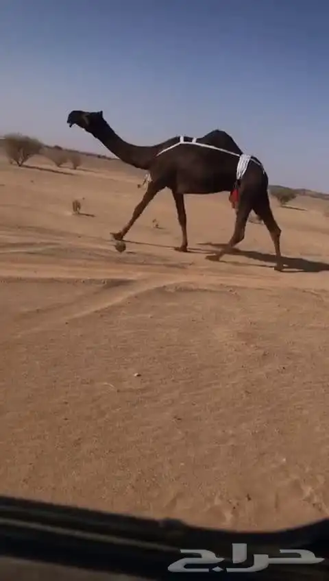 ضرايب مجاهيم كفو 1