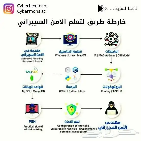كتابة بحوث PDF كتابة بحوث Word كتابه powerpoint 1