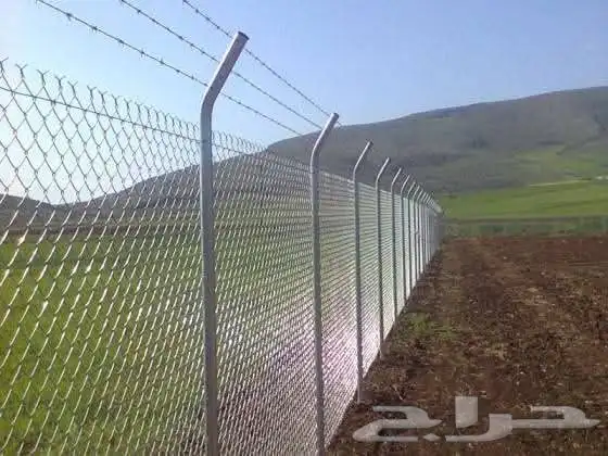 توريدوتركيب الشبوك 0