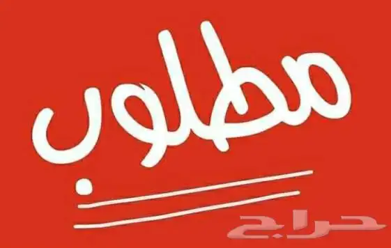 مطلوب شقه 0