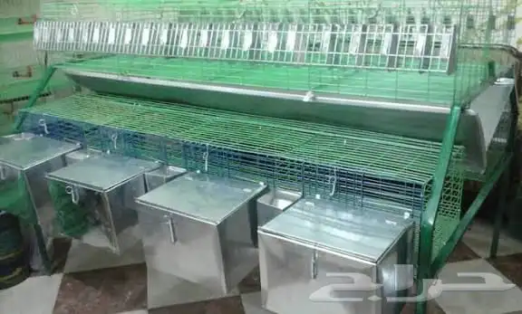 مطلوب بطاريات أرانب بالجوف 0