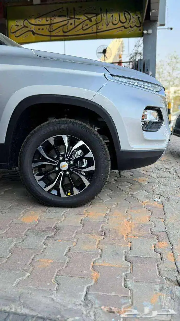 جروف 2025 جميع الفئات 12