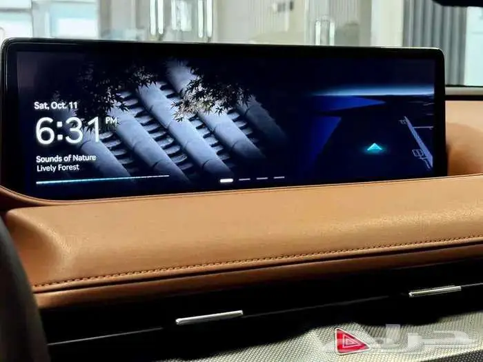 جنسس G80 2021 - كوري فل كامل 28