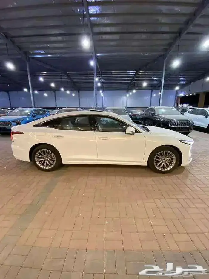 فاو بيتسرن بي 70 كمفورت موديل 2025 بأقل الأسعار 13