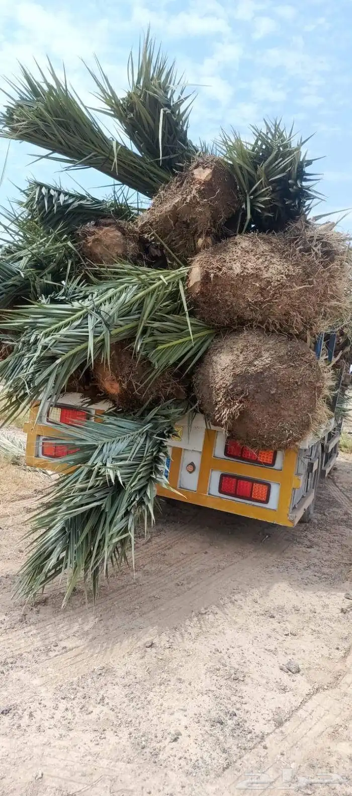 ونش للإيجار ( رافعه بوم ترك) 0