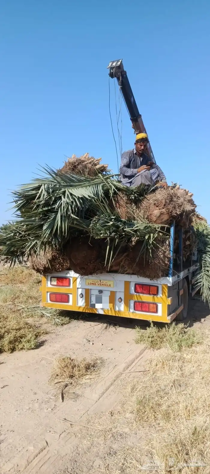 ونش للإيجار ( رافعه بوم ترك) 4