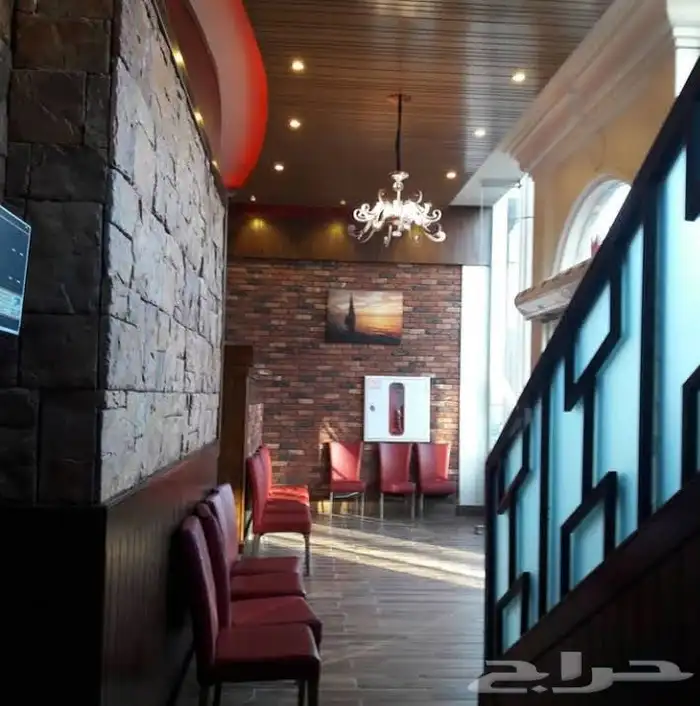 رسوم وفنان ورسم هندسي و 11