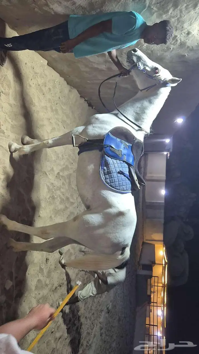الحرازات 0