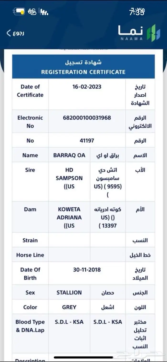 حصان واهو 2