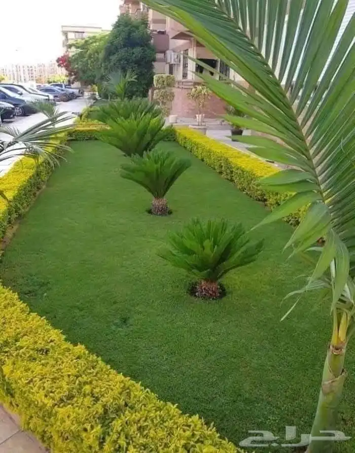 اخير 2