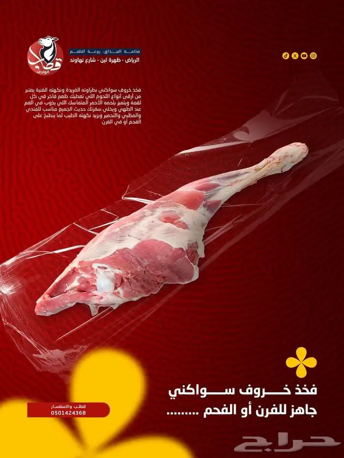 كتابة المحتوى اعلاني ومصممة جرافيك وادارة سوشل ميديا فويس او 3