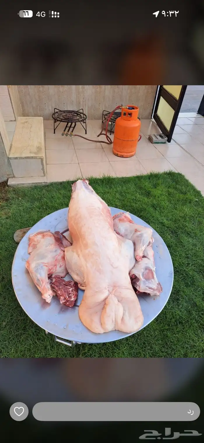 ذبايح ذبيحه 0
