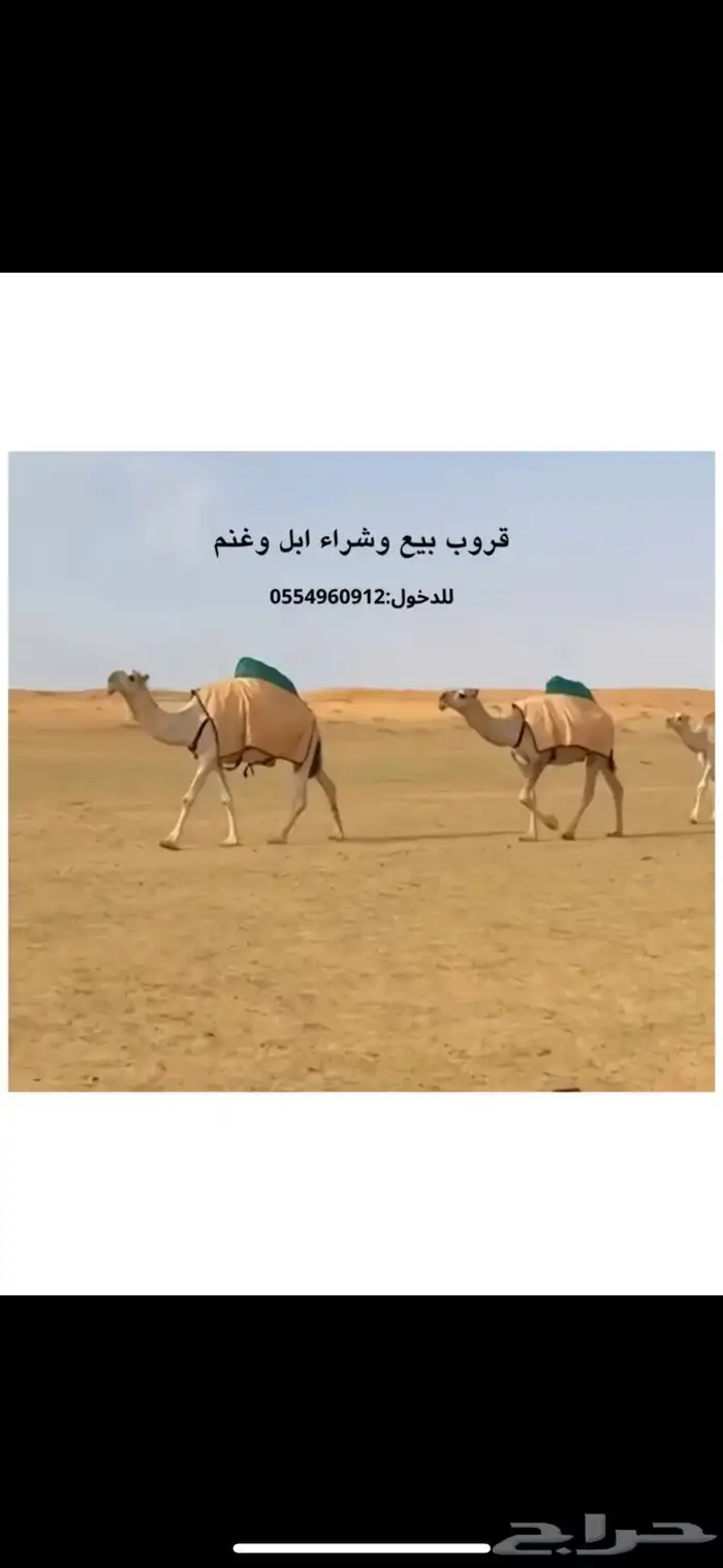 قروب 0