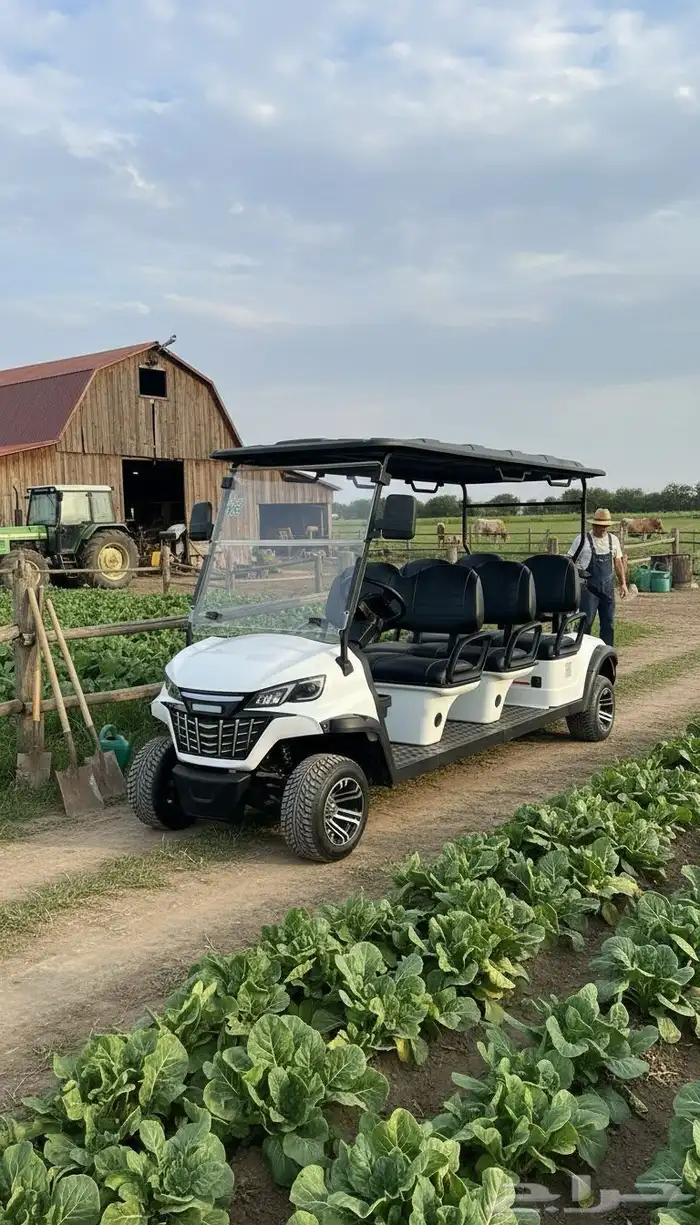 عربات غولف Golf cart عربة جولف تأجير القولف 1