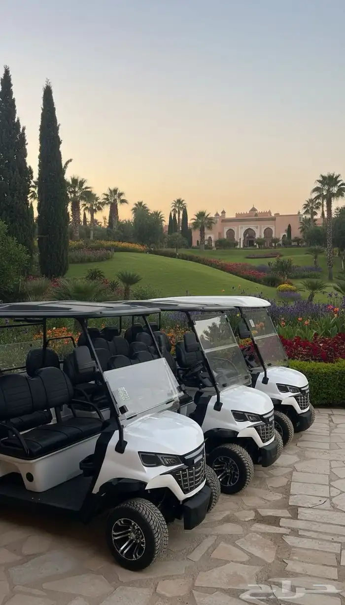 عربات غولف Golf cart عربة جولف تأجير القولف 0