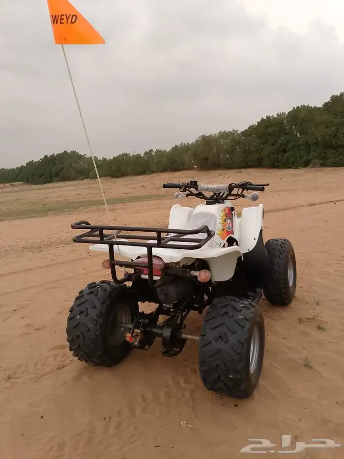 دباب سويدي 1