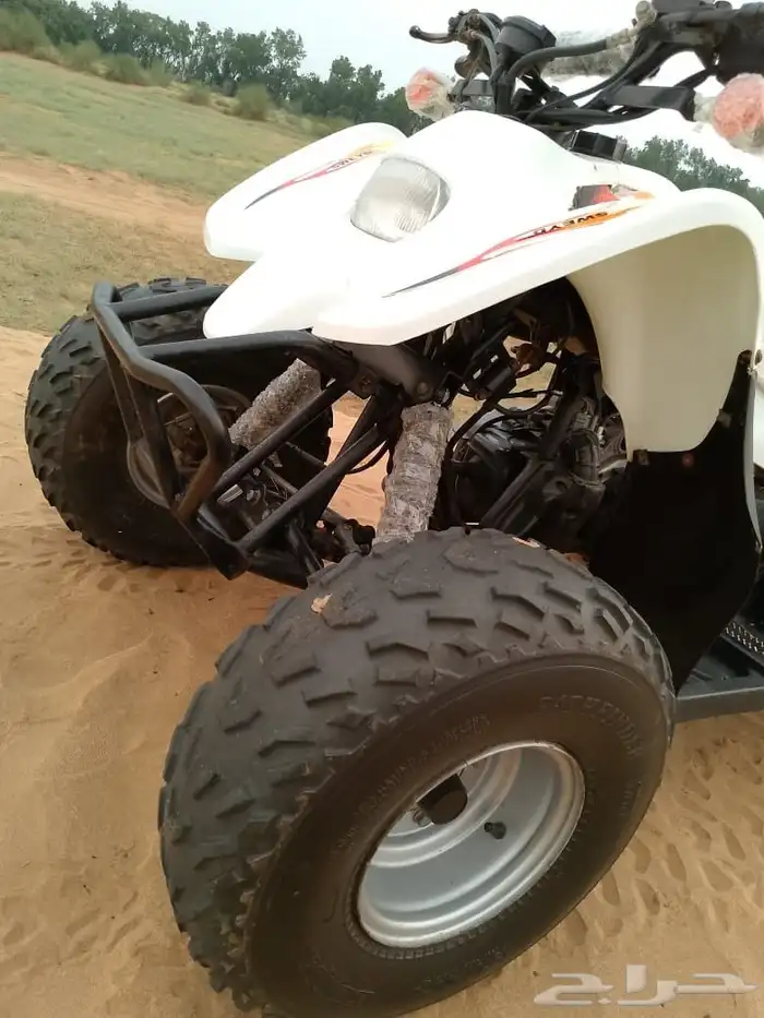 دباب سويدي 4