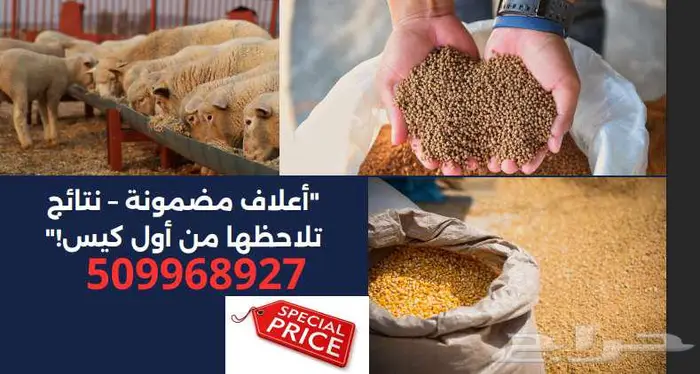 الأسعار قربت تغلى  احجز الآن أعلاف أراسكو الأصلية 1
