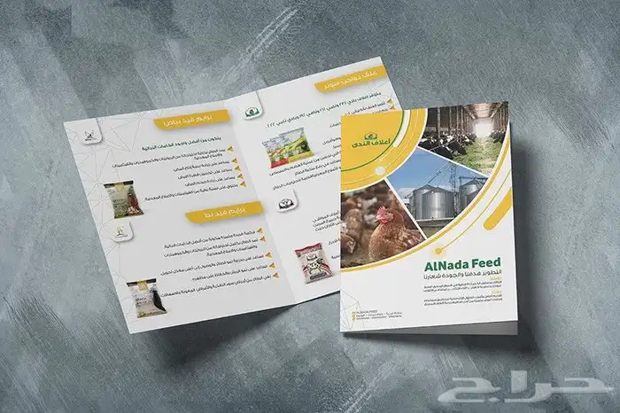 مطبعة طباعة بروشور طباعة بروفايل تصميم 5