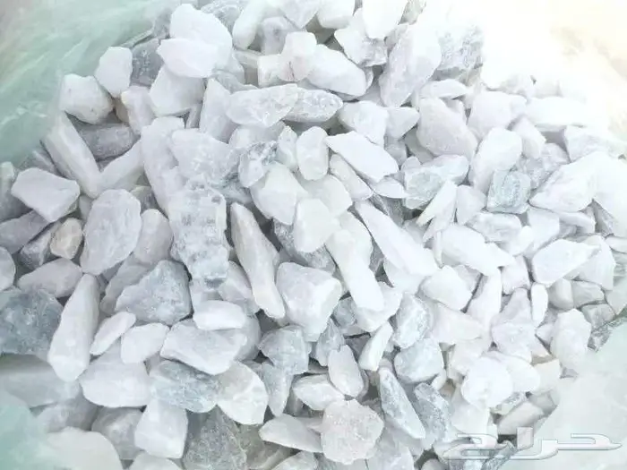 بطحا حائل للزينه الحدائق والمنتزهات 1