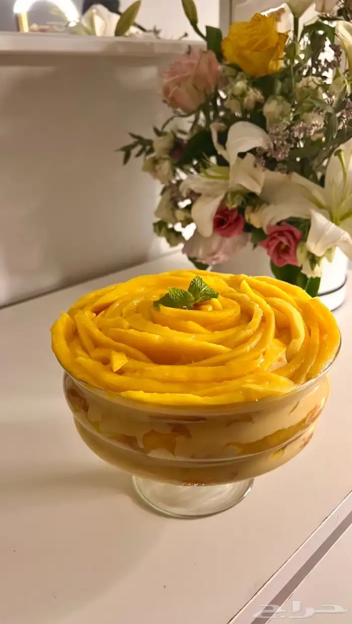 حلا ترافل مانقو الخبر الدمام 1