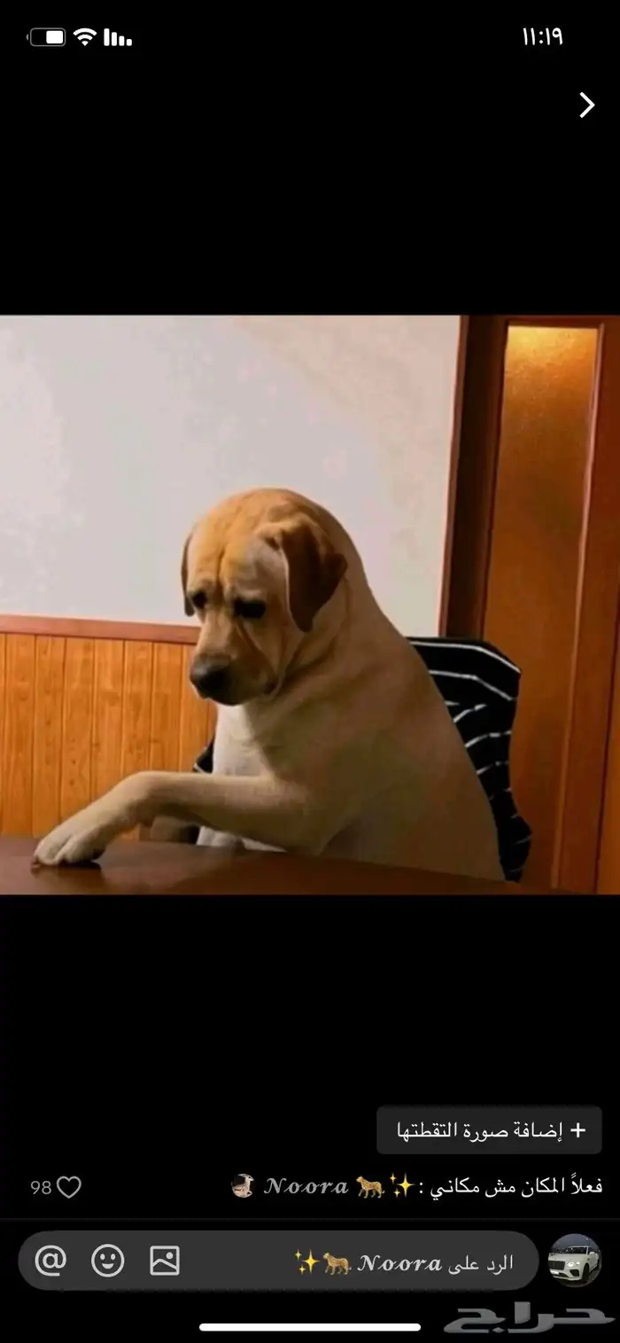 باترول بلاتنيوم 2019 0