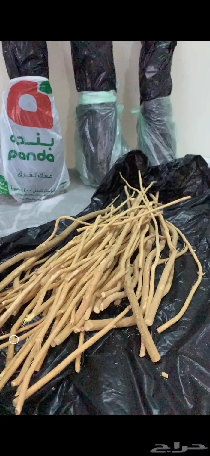 مساويك مسواك الاراك الحار 1