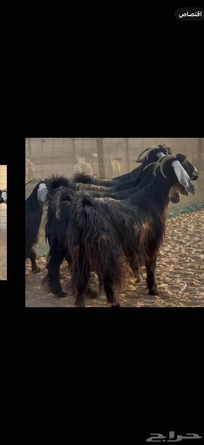 سلام عليكم ورحمة الله وبركاته 2