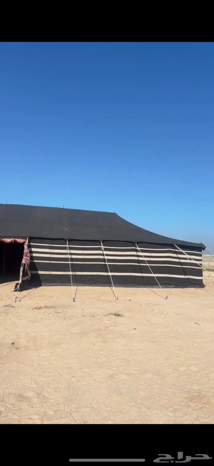 بيت شعر الطول 20 و العرض 8 للبيع نظيف جدا 0