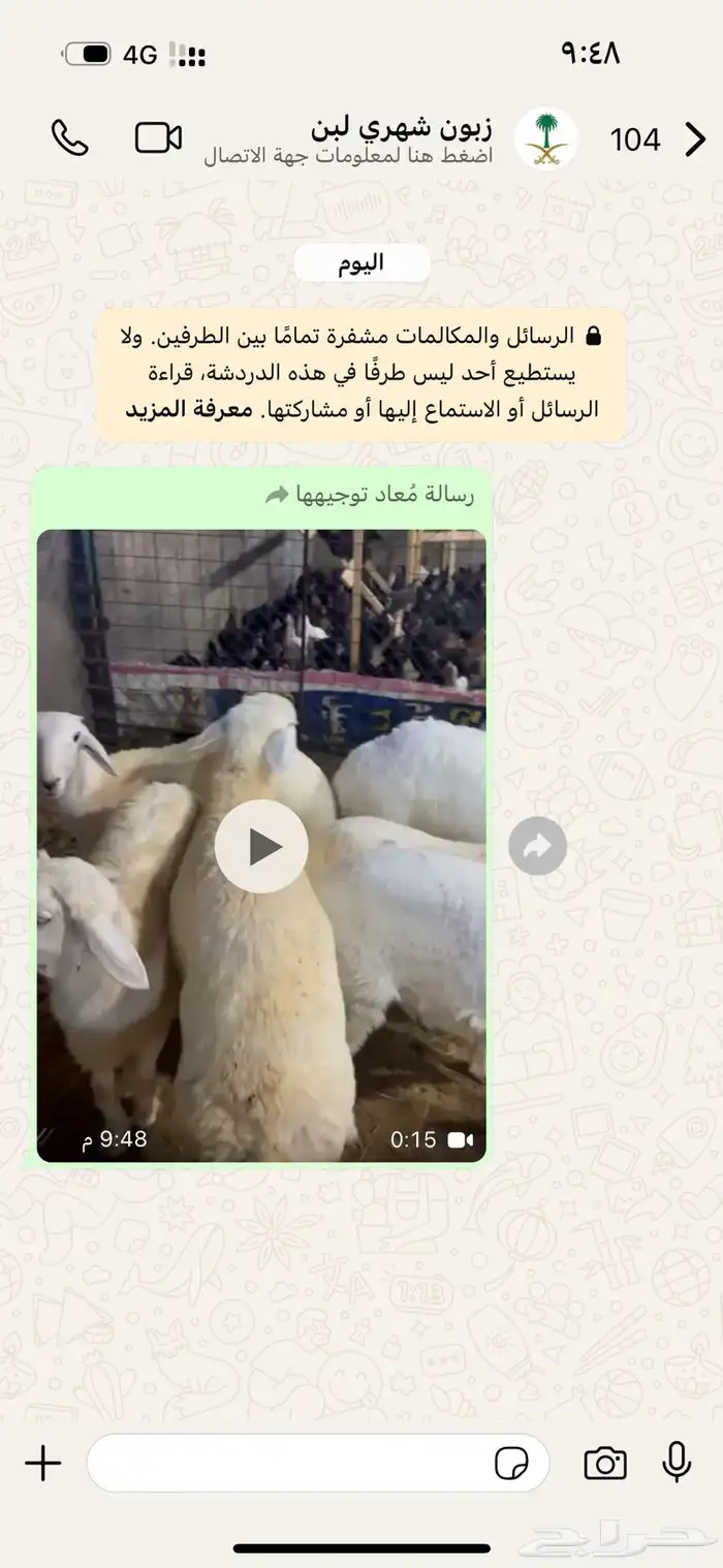 ذبايح طليان ورخال ويوجد الصلخ والتوصيل 1