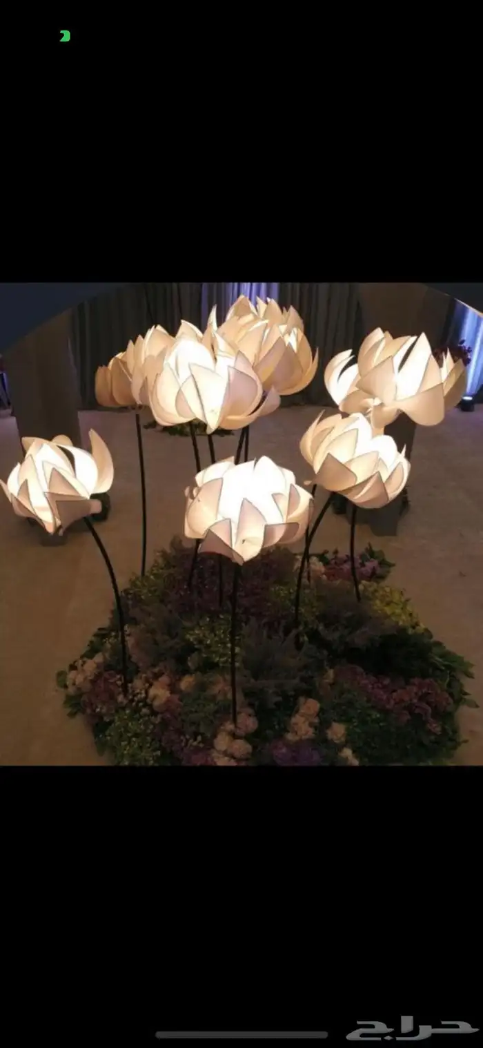 تأجير جميع مايخص الاحتفالات والمناسبات و المعارض 24