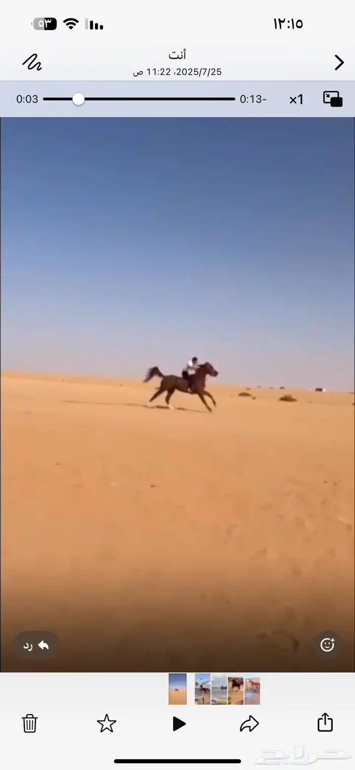 حصان شعبي 1