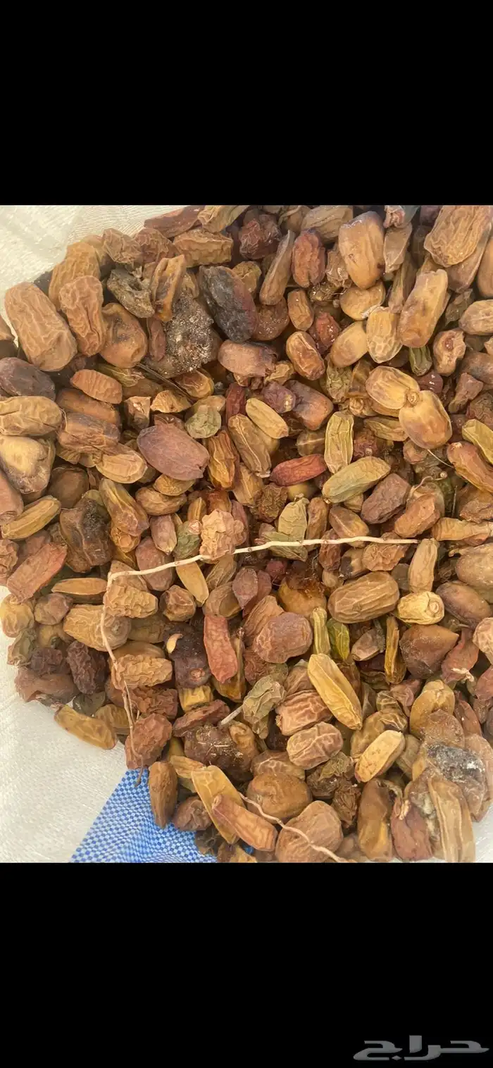 تمر علف للحلال 4