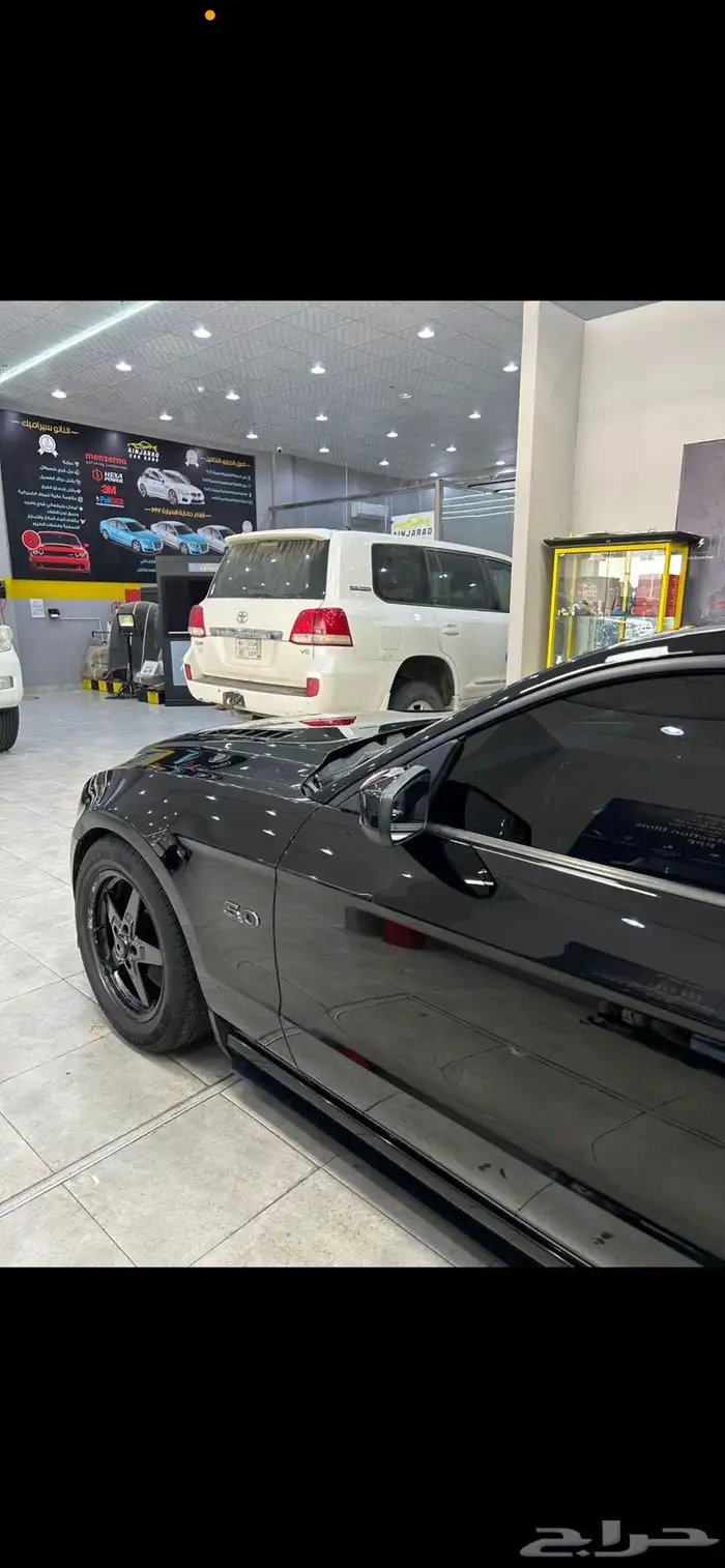 موستنج 14 بريموم بانوراما للبدل بجي قير عادي 6