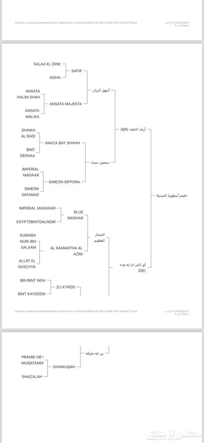 حصان 2
