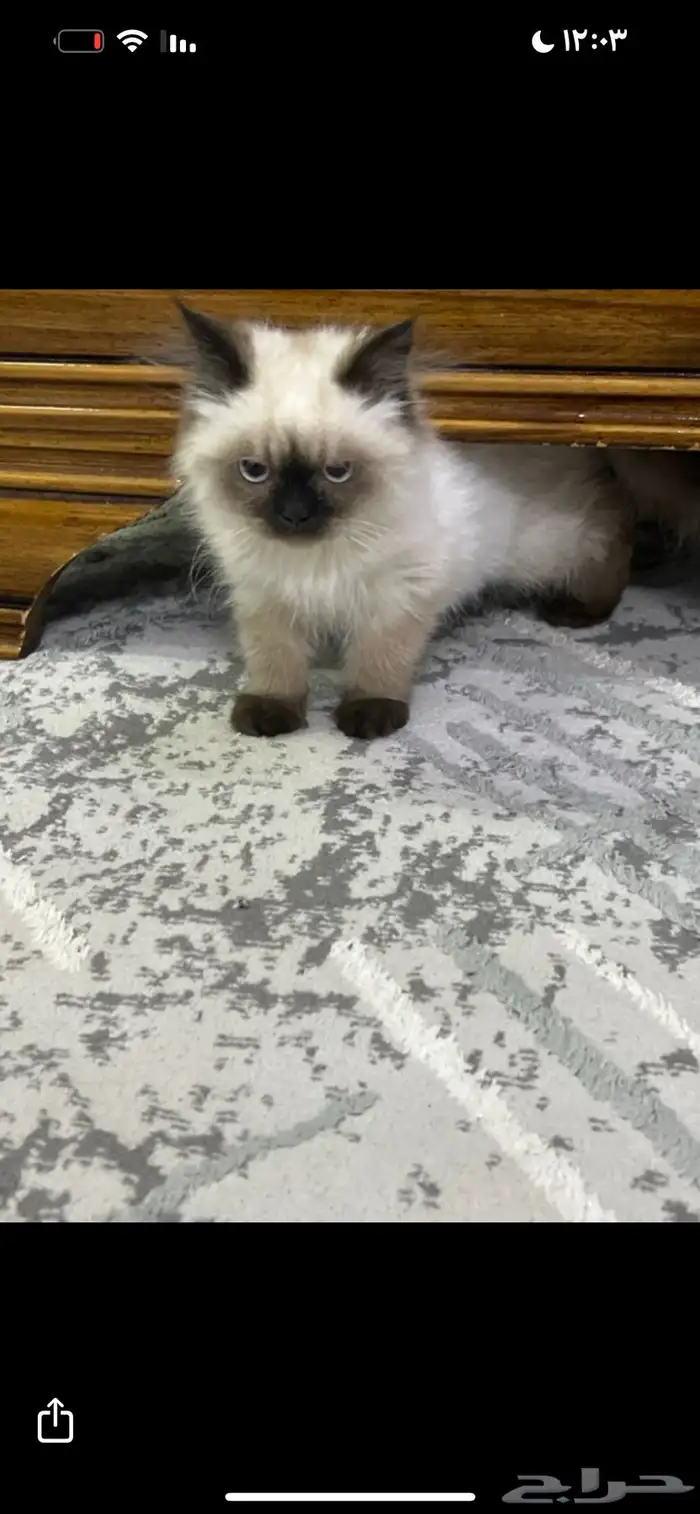 هملايا 1