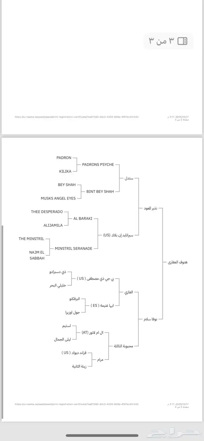 فرس واهو 2