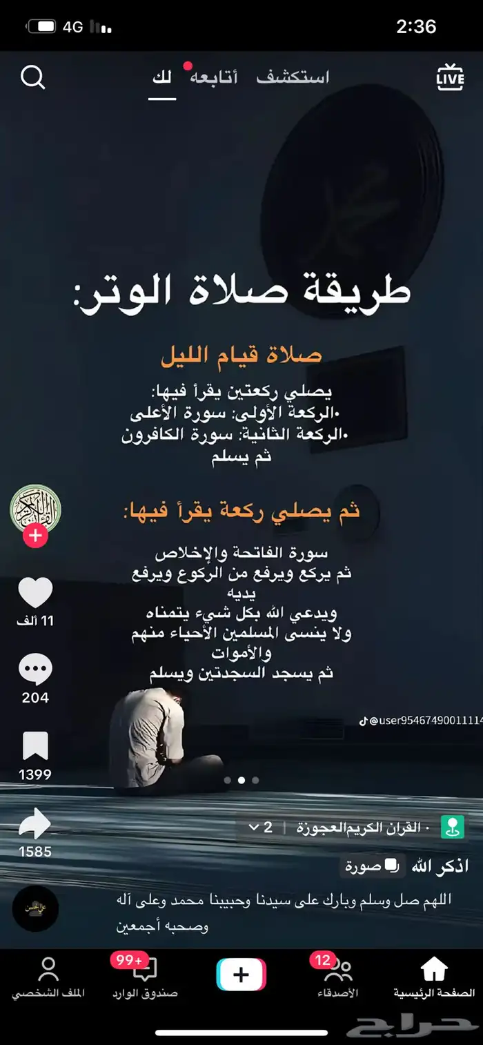 توريد خضار وفواكه 14