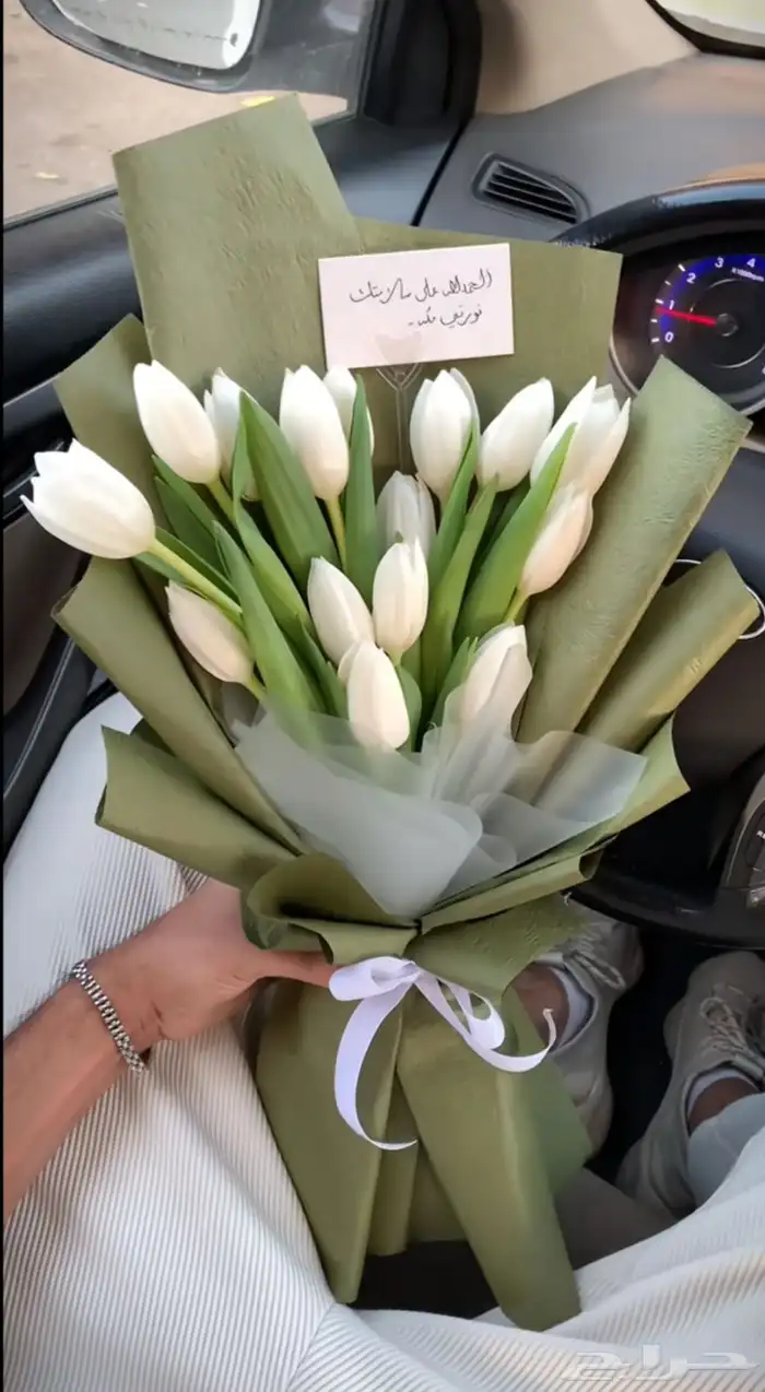 مندوب ورود و هدايا القصيم 4