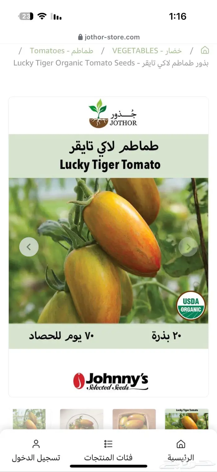 شتلات طماط زيبرا الأخضر ولاكي تايغر وباذنجان 1