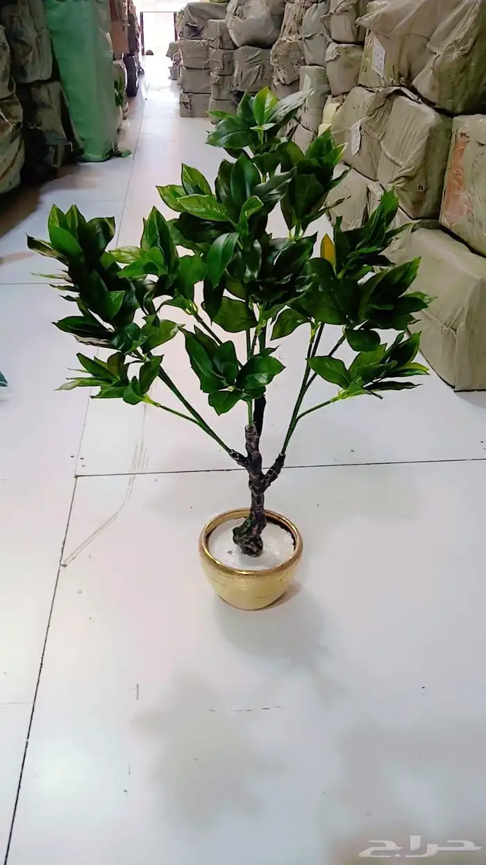 تنسيق حدائق 15