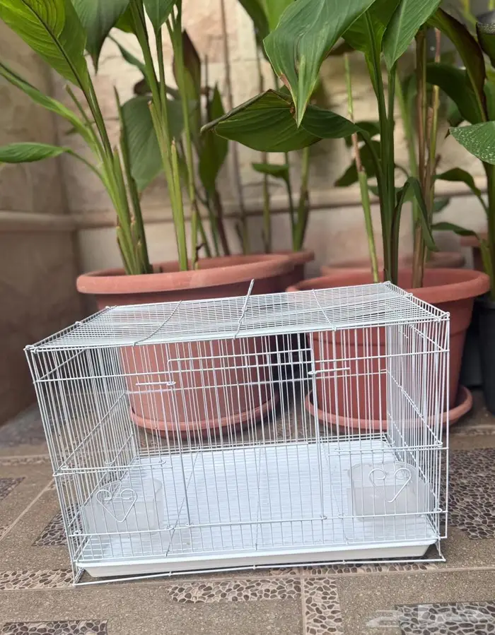 مستلزمات طيور قفص وستاند 1