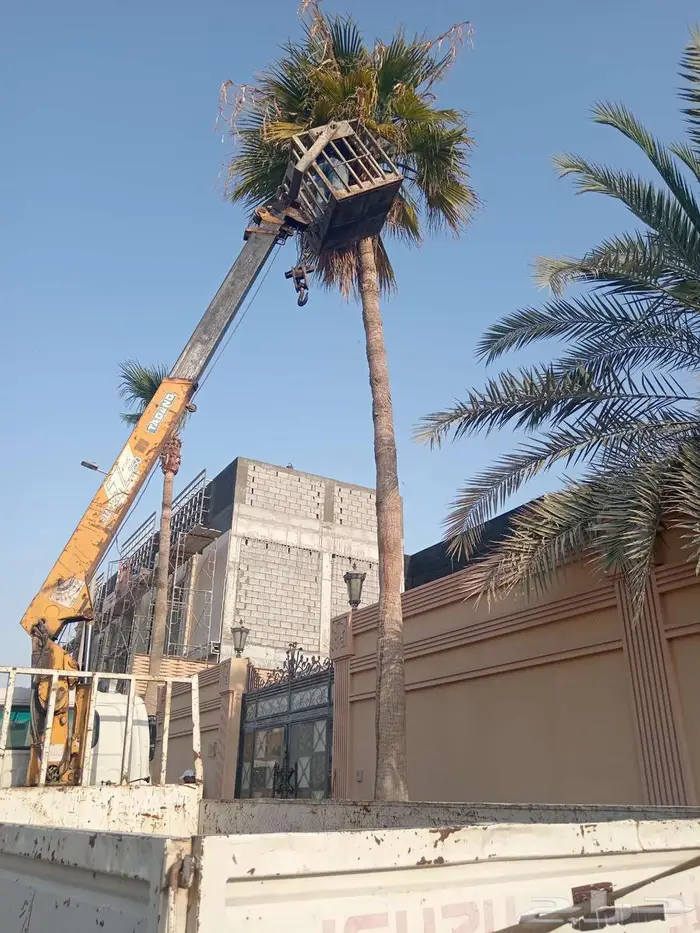 كرين باسكت رفع العمال 4