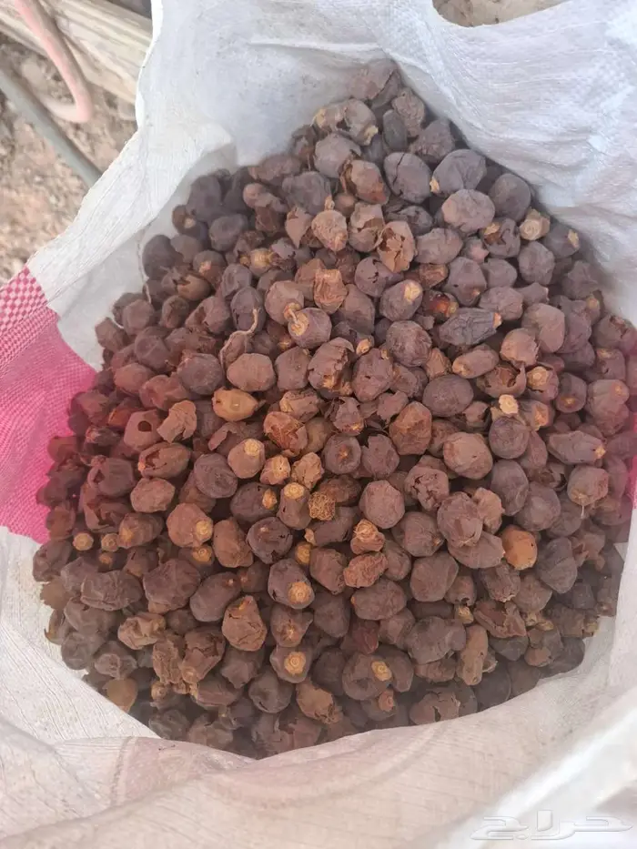 تمر غنم نفيع 0