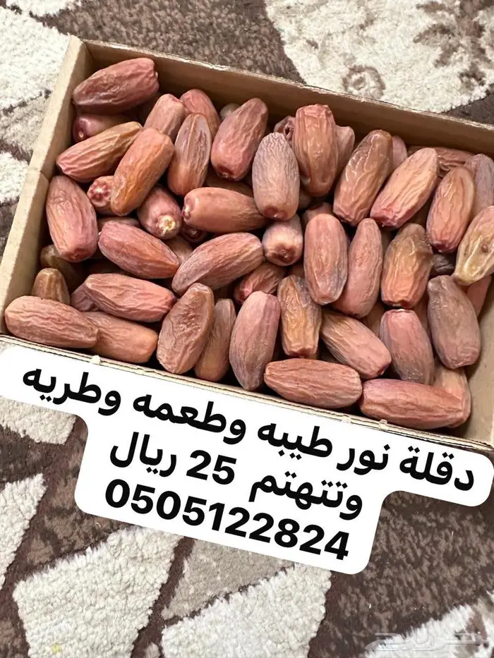 دقلة نور طيبه وطعمه وطريه 0