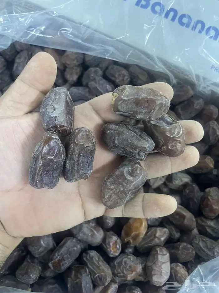 للبيع تمر خضري 0