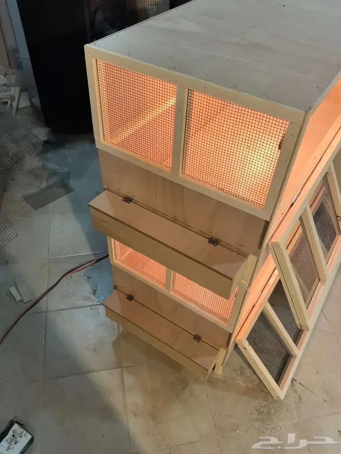 حظانة صوص إنتاج دواجن 4
