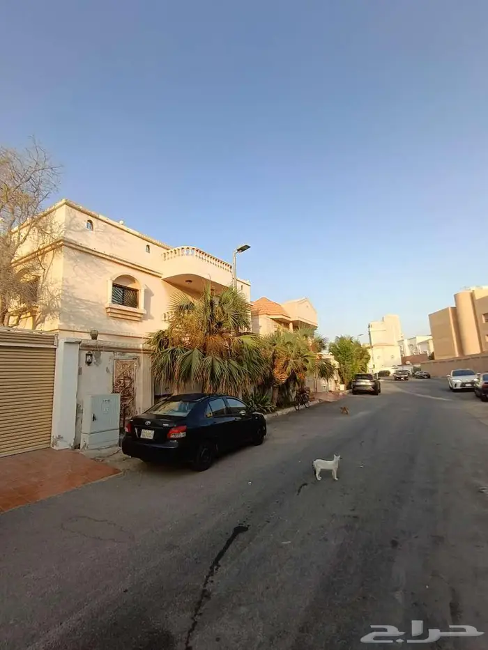 فيلا للبيع نظام شقق في حي المرجان GD952 37