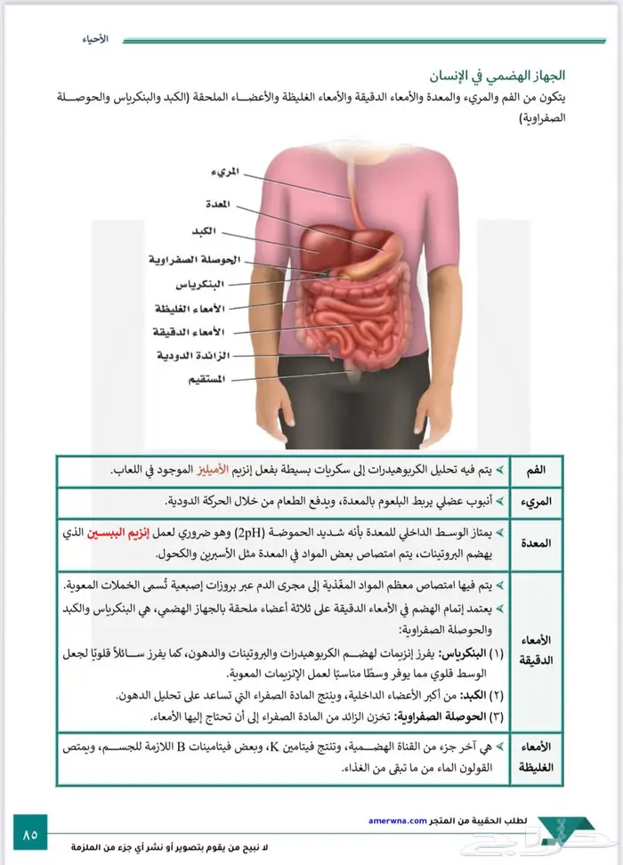 ملزمة الرخصة المهنية تخصص احياء 6