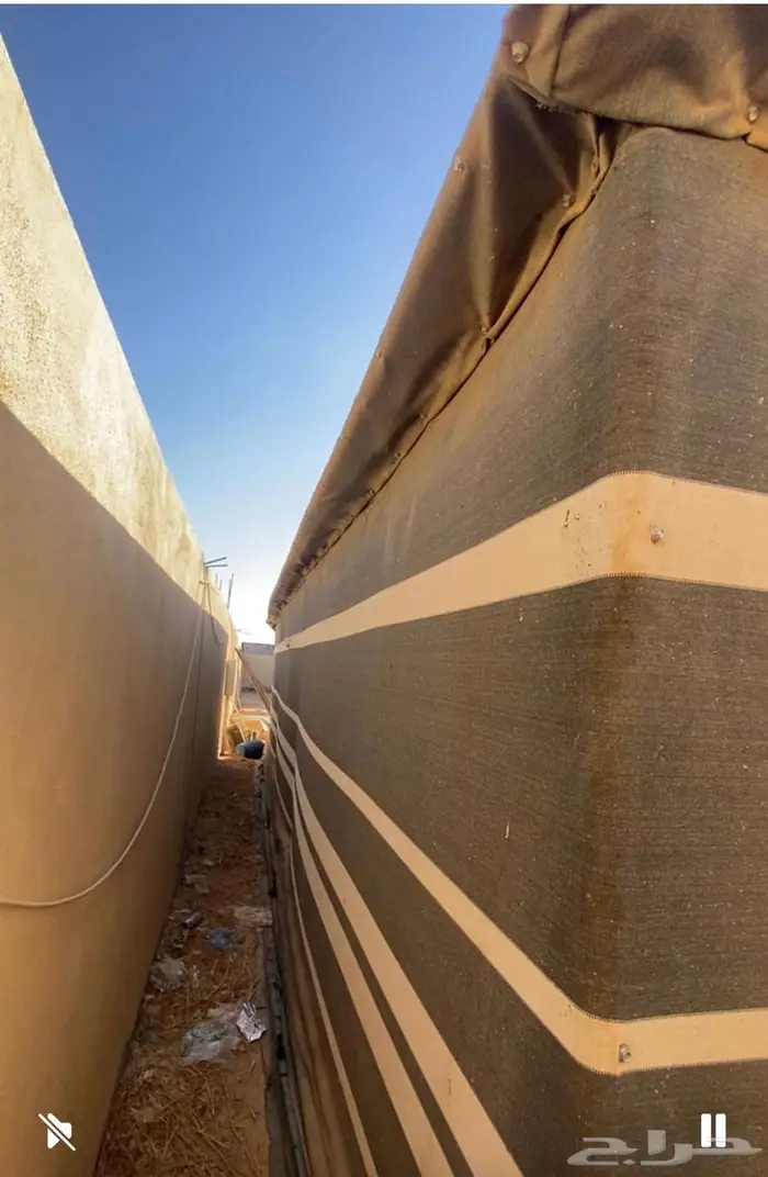 بيت شعر ملكي 7